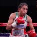 Se prepara León para magna función de boxeo